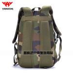 Waterproof Backpack Traveling Shoulders Bags Mass customization Outdoor Pack