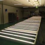 395nm IP65 Vegetable Grow Lights For Vertical Farming