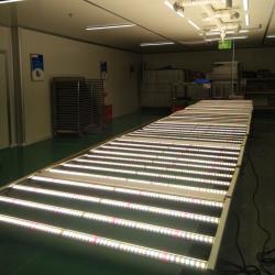 Shenzhen Igrow Bio-Tech Co., Ltd.