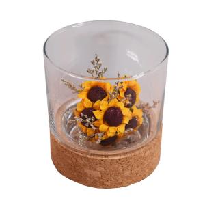 China Toxicless Odorless Glass Jar Cork Wood Base Groove 2.5 Inch for Micro Landscape wholesale