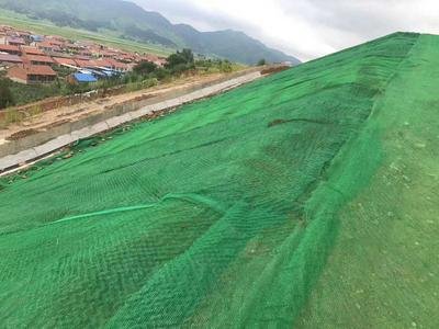 3D Geomat HDPE PE Plastic Net for 2.0m-2.5m Width Erosion Control and Drainage System