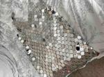 Sequin Decor Bodycon Dress