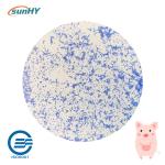 Hyprobo Compound Animal Essentials Probiotic For Breeding Pig