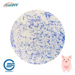 China Hyprobo Compound Animal Essentials Probiotic For Breeding Pig wholesale