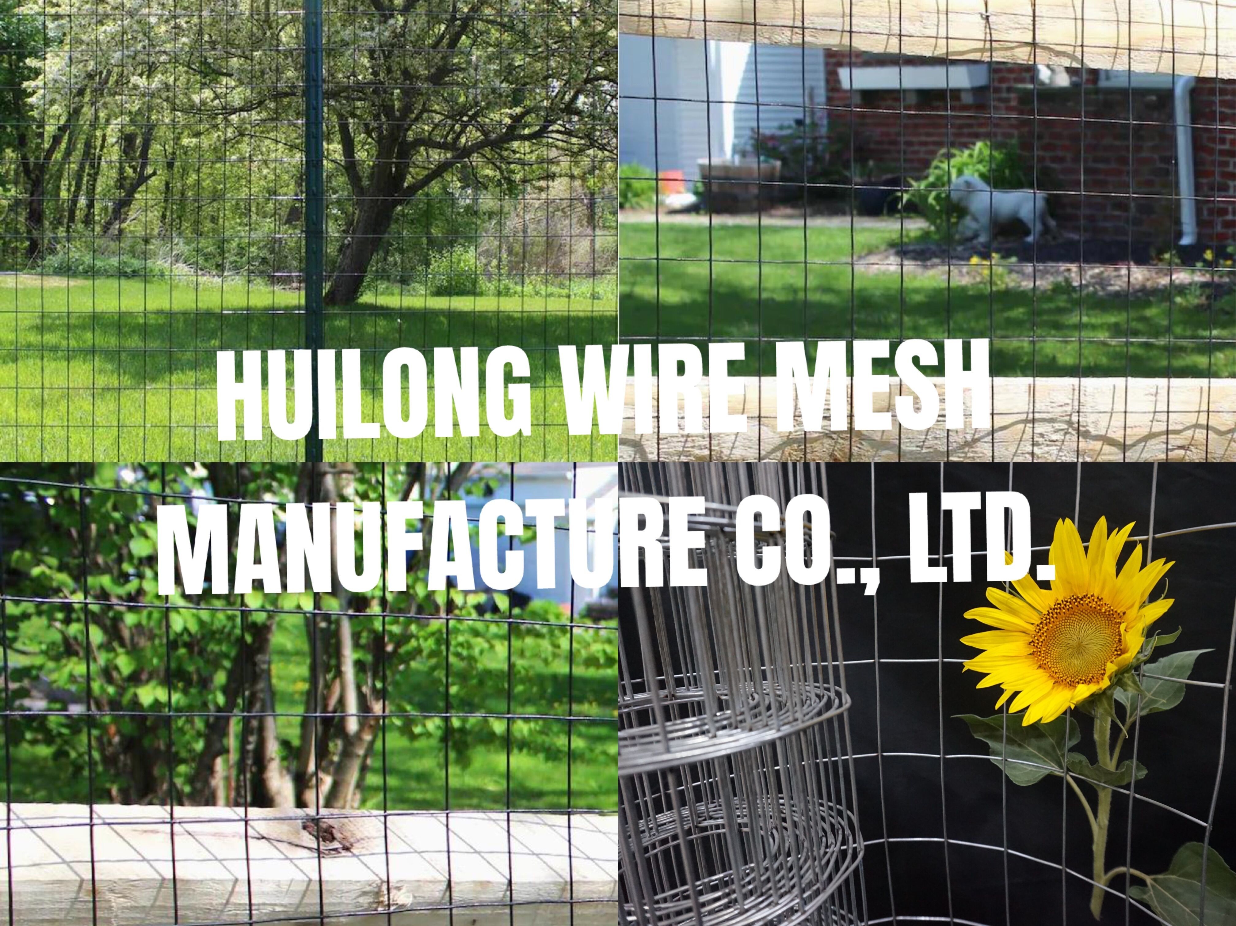 Hot Dipped Galvanized 2"X 4'' Rectangle Mesh 14 Gauge 36inch X 50ft Welded Wire Mesh Fence Rolls For Craft Work