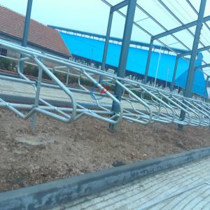 China Modern Steel Structure Cow Shed Sustainable Steel Frame Farm Buildings wholesale