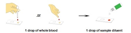 For Laboratory Or Hospital Self-Test High Accuracy The Typhoid IgG/IgM Rapid Test