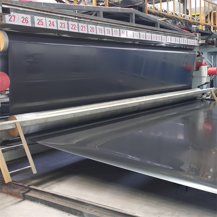 Double-Sided Column Point Geomembrane for Slope Protection and 0.3mm-2.8mm Thickness