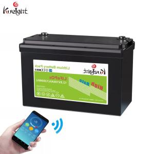 China LFP Cell 12V LiFePO4 Battery Outdoor Monitoring Emergency Alert System wholesale