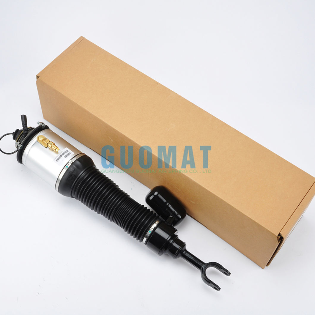 3D0616039 Front Left Air Suspension Spring for Volkswagen Phaeton