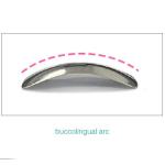 Sectional Matrix Band Dental Use In Teeth M2
