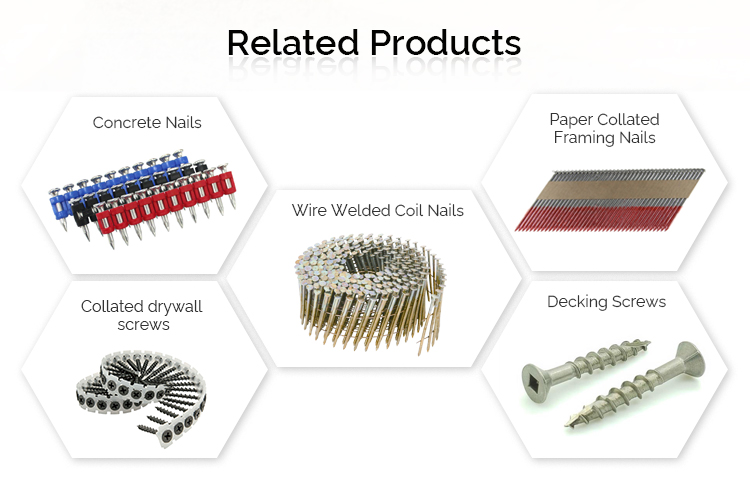 HN25C Hardened Stainless Steel Collated Nails With Dome Head