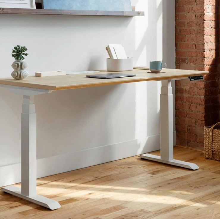 Adjustable Height Electric Standing Desk Custom Dual Motor Smart Desk for Commercial