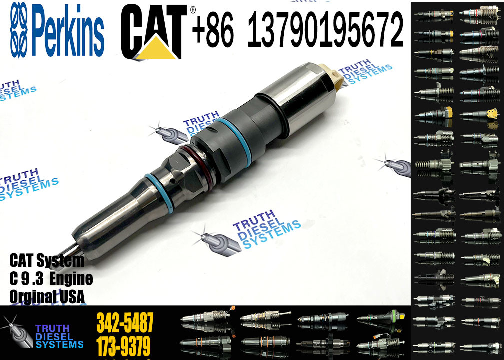 Fuel Injector 342-5487 382-0709 392-9046 456-3509 456-3589 324-5467 364-8024 171-9704