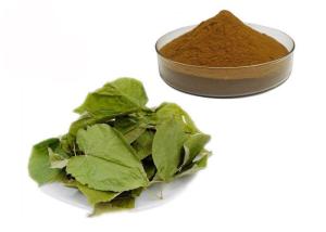 China CAS 489-32-7 Horny Goat Weed Epimedium Herbal Extract Powder wholesale