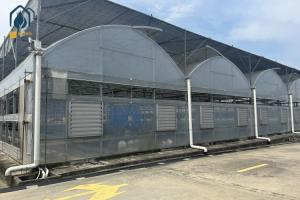 China Vegetables And Herbs Multi Span Greenhouse Durable Greenhouse Structure wholesale