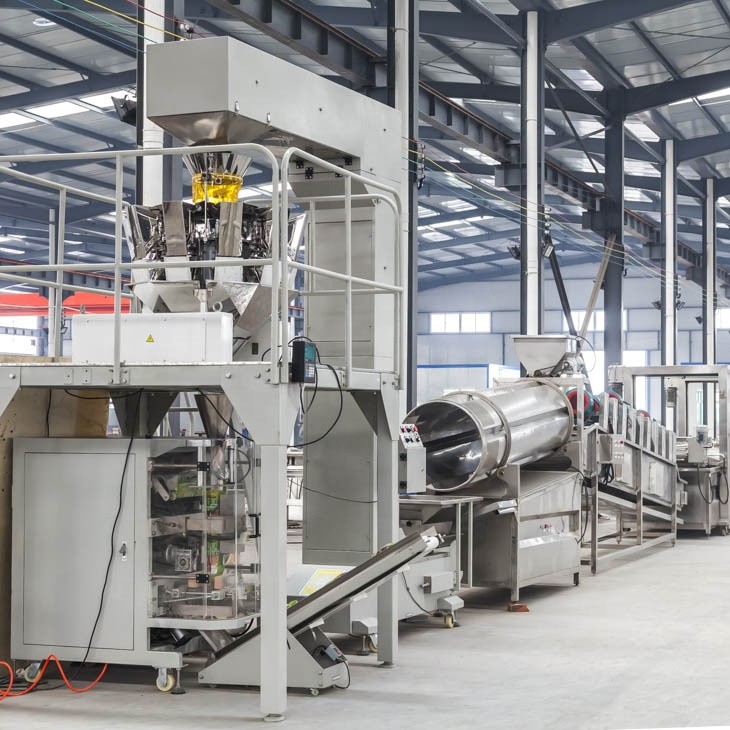 10m*2m*2m and Customizable Frozen Fries Production Line for French Fries