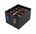 Custom Ev Golf Cart Lithium Ion Battery Packs 48v 40ah Lifepo4