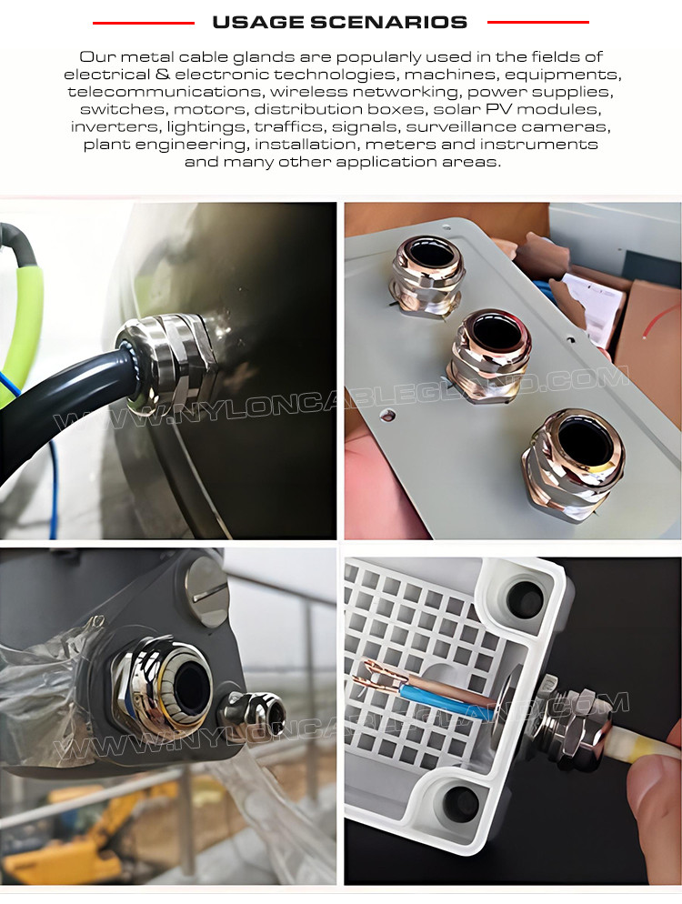 304, 316, 316L Stainless Steel PG36 Cable Gland, IP68 Watertight Adjustable Gland Connector for 25-33mm Range