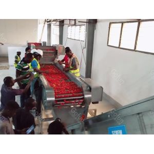 China 25t/H Sus304 Tomato Processing Line Energy Saving High Efficiency wholesale