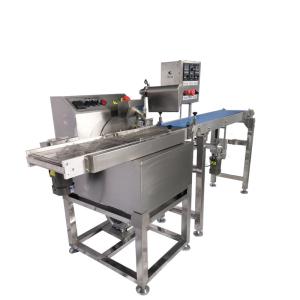 China 304 stainless steel chocolate Enrober Coating Machinery wholesale