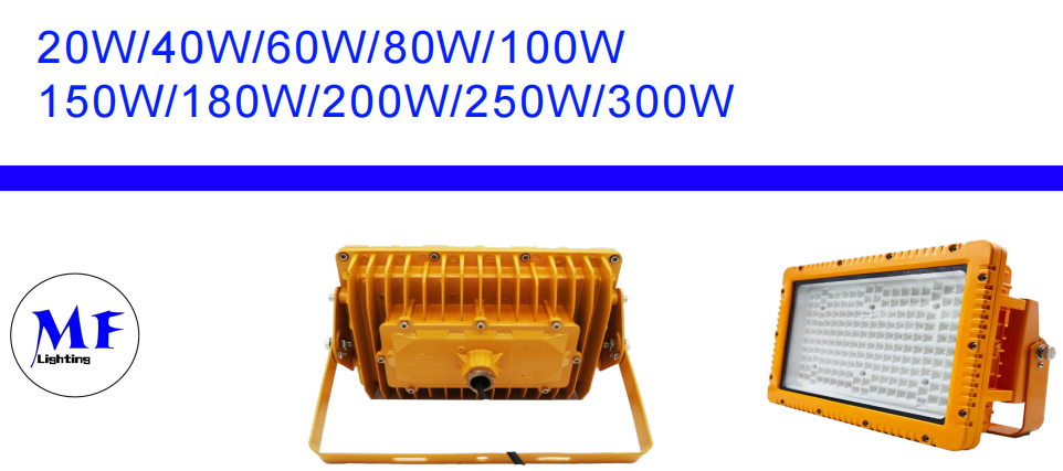 IP66 IK10 Waterproof Dust-proof Explosion Proof Flood Light For Heavy Industry Storage Paper Mills