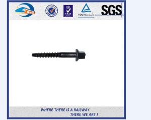 China SS303 SS304 SS316 Stainless Steel Railway Sleepers Screws Rail Fasteners wholesale