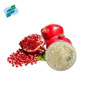 China Water Soluble Pomegranate Peel Extract Ellagic Acid Skin Whitening wholesale