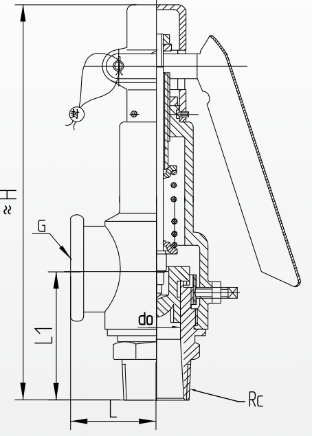 Iron Safety Valve with Wrench 35bar Pressure