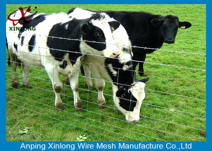 Customized Size / Color Galvanized Field Fence No Sharp Edge 2.0mm