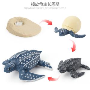 China Leatherback Life Cycle Figure Model Toy For Boys Girls Kids wholesale