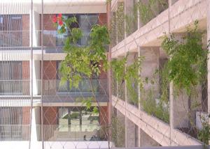 China Plant Climbing Green Wall Stainless Steel Cable Mesh 3.2mm wholesale