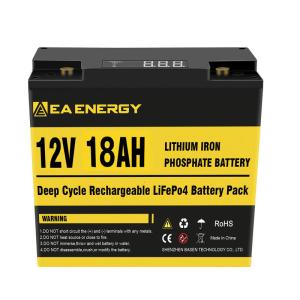 China 12V 18Ah 5000+ Deep Cycle LiFePO4 Battery With Built In 20A BMS wholesale
