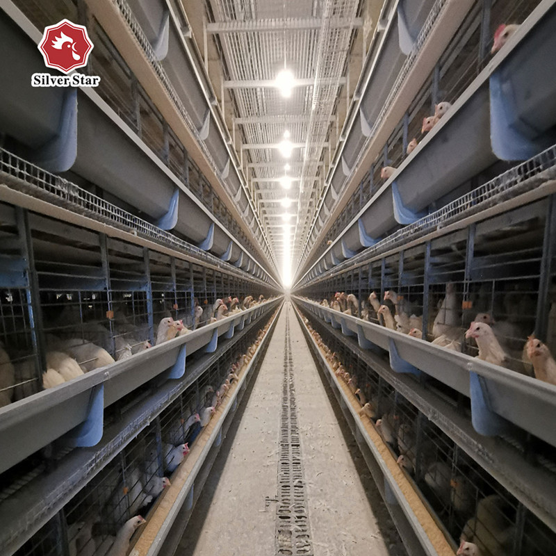 Chicken Closed House Battery Cage System Automatic Poultry Equipment in Tanzania