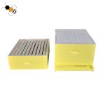 Painted 10 Frames Bee Farm 2 Layers Langstroth Beehive