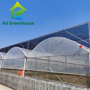 China Hot Galvanized Steel PE Film Greenhouse 44m-52m Length Plastic Tomato Greenhouse wholesale