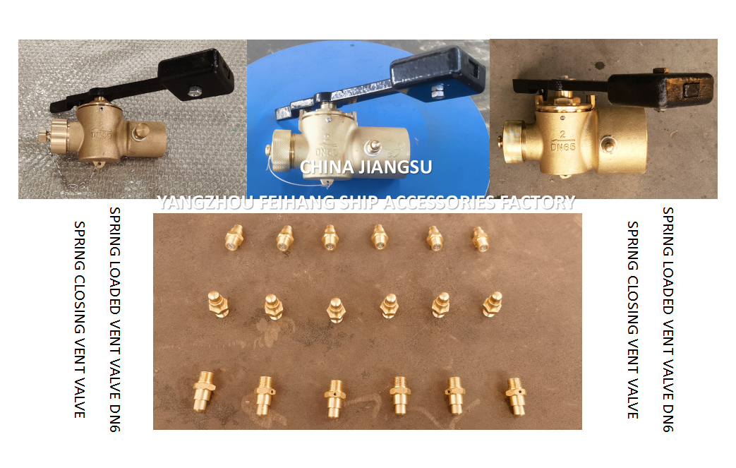 DN6 Brass Spring Loaded Vent Valve with Threaded Ends Compliant to CB/T3778-1999 Standards