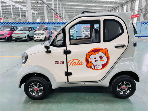 MI GUO 1500w Electric Four Wheeler Auto 1500w 4 Wheeler Electric Car