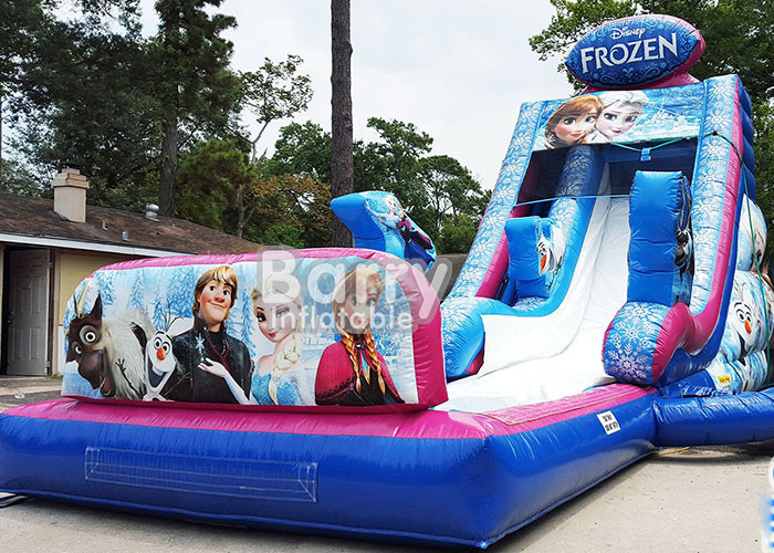 Octopus Inflatable Water Slide With Pool Amusement Park