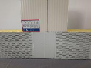 China 125mm Fireproof Grade A Acoustic Sandwich Panel Moisture Resistance wholesale