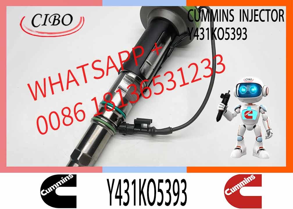 Fuel Injector Assembly 2867147 2882077 4955524 Y431KO5393 2882078For Qsk19 Engine