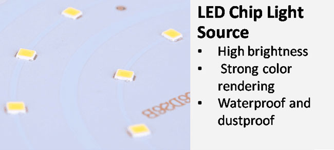 Energy Conservation Solar Lawn Lights 3200AH 6400mAH 30cm 60cm 80cm Height