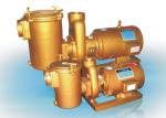 Brass 3HP Swimming Pool Water Pumps