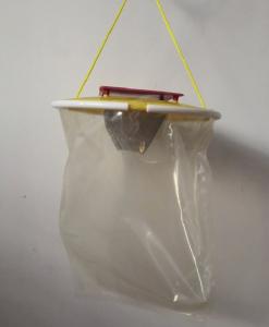 China Newest outdoor fly trap disposable fly trap for farm gardon wholesale