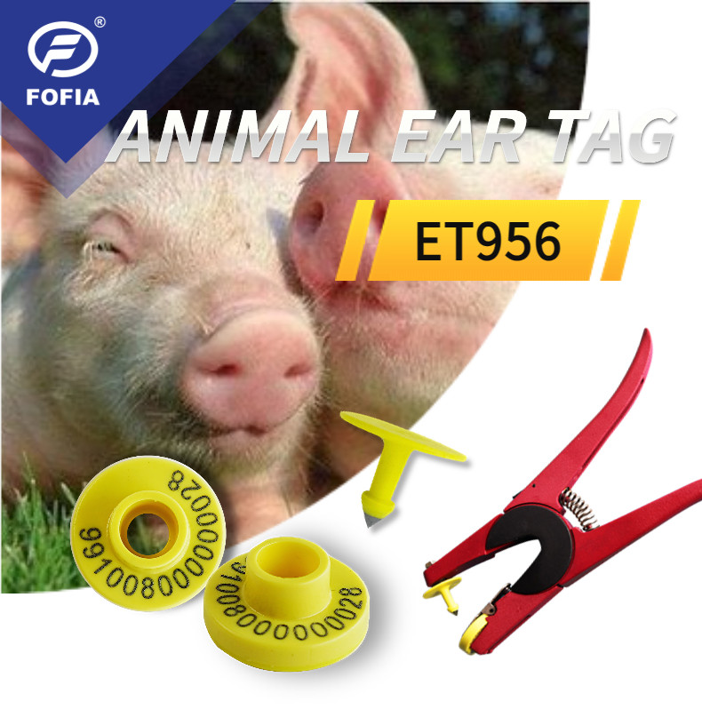 Animal Tracking And Management Ear Tag Identification For Sheep