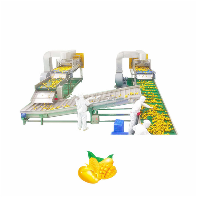 Fruit Juice Filling Production Line Processed fruit mango pulp juice extraction Machine production line