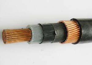 China AL Or Copper Conductor Concentric Cable 2x6mm2 2x10mm2 Black Color wholesale