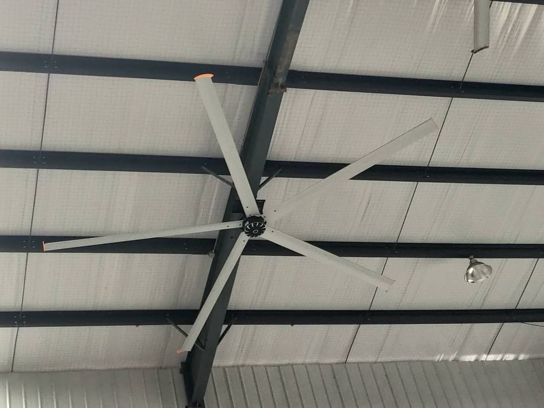 Large Industrial Ventilation Ceiling Fan