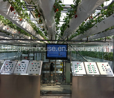 Film Covered Galvanized Greenhouse for Stable Structure and Vegetable Cultivation