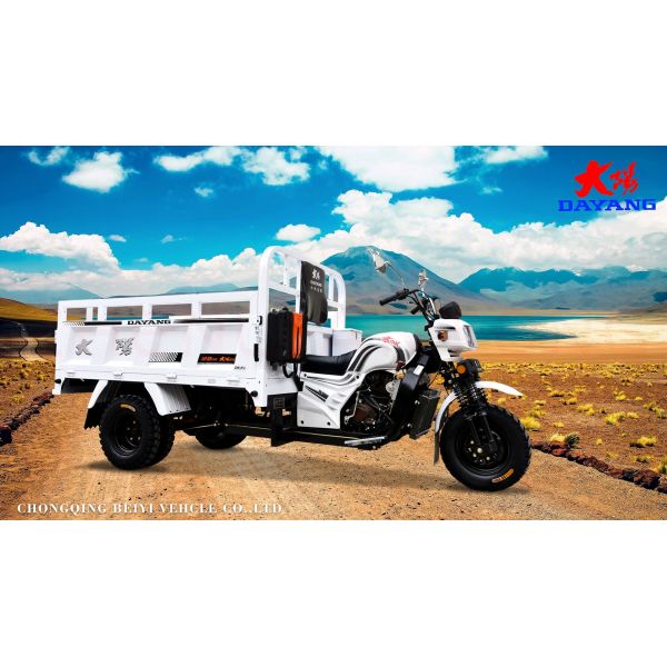Open Body Type 200cc Air-Cooling Heavy Duty Cargo Motorcycle Tricycle Three Wheeler